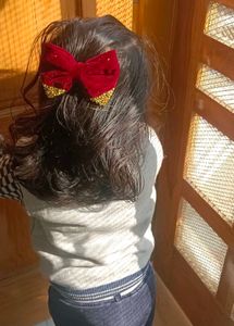Velvet Hair Bow🎀🎀