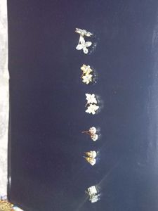 Sparkling Stud Earrings