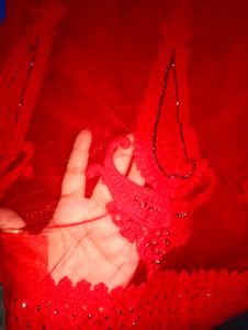 Red Embellished Saree With Blouse And Peticoat