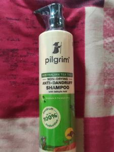 Pilgrim Shampoo 🧴