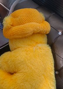 Beautiful Teddy Bear 💯 New