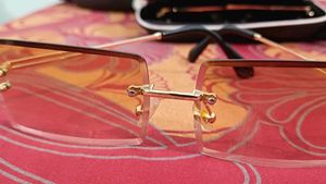brown sunglasses