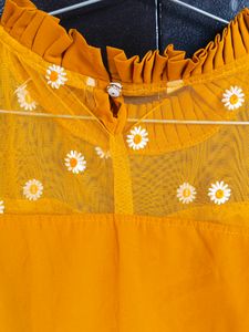 Mustard Top