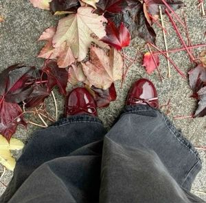 Pinteresty Cherry Red Mary Jane Shoes🍂