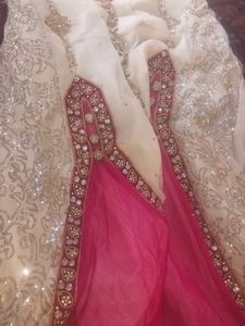Elegant Pakistani/Indian Dress