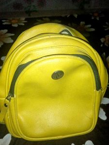 Stylish Bag