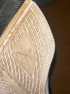 Puma Coarse Running Shoes