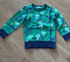 Boys Green Dragon Sweatshirt