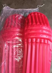 ISG Cricket Batting Leg Guards