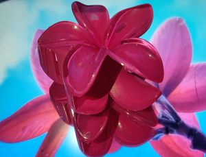 Flower And Heat Shape Hair Clature