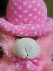 Pink Teddy Bear with Hat