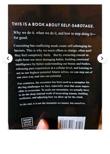 The Mountain Is You Book