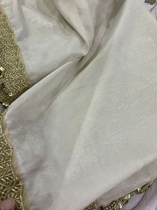 Shimmery Beautiful Duptta