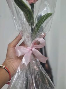 Pipe Cleaner Tulip Flower Bouquet 💐