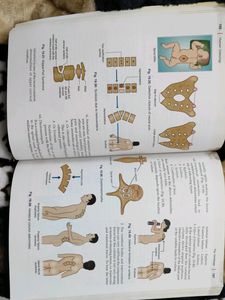 Human Osteology