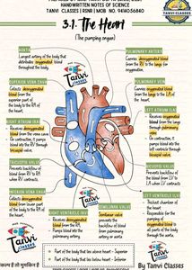 Class 10th Science Handwritten Colourful Notes