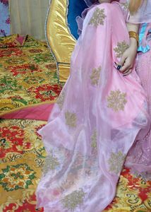 Beautiful Pink Skirt Lenge