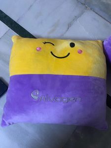 Plushie Soft Pillow