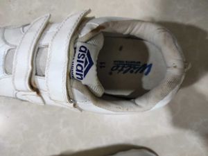 Asian White Sport Sneakers