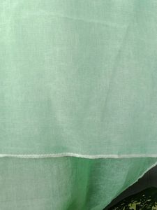 Transparent Summer Top