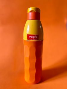 Milton Brand New Bottle