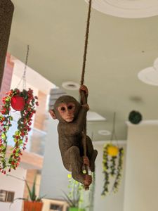 Polyresin Monkey Hanging Figurine