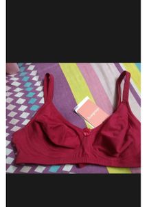 Burgundy Everyday Bra