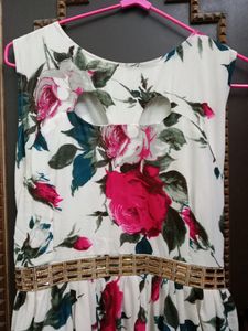 Pretty Gown Dress
