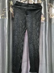 Zara Classic Leggings