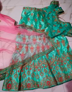 Embroidered Lehenga Skirt