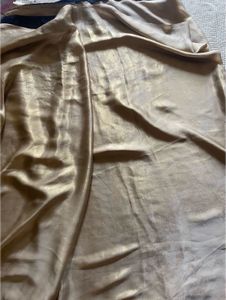 Beautiful Shiny Saree