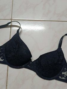 New Brand Pushup Lavd Bra