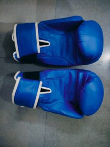 TOPSUN Boxing Gloves
