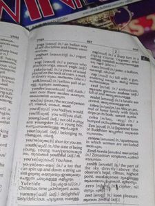 Dictionary