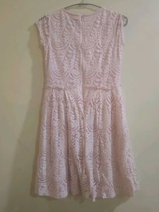 Pink Lace Fit &amp; Flare Dress