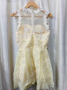 Net Tulle Skirt Party
