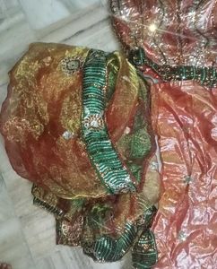 Sequence Lehnga Choli