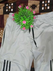 Adidas Track Pants