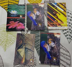 14 Notepads