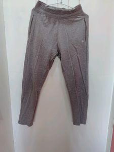 Hosiery Track Pant