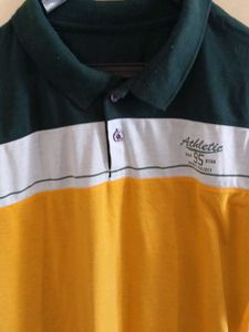 Striped Polo T-Shirt