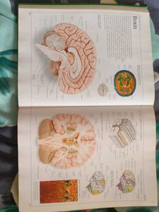 Ultimate Visual Dictionary