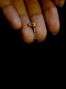 EARNINGS
