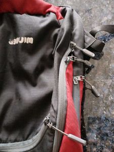 Red &amp; Black Backpack