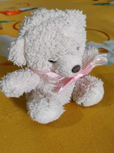 Cute mini Teddy Bear