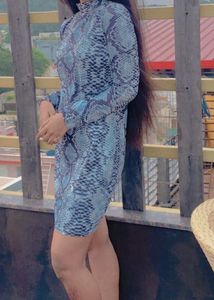 Snakeskin Print Mini Dress