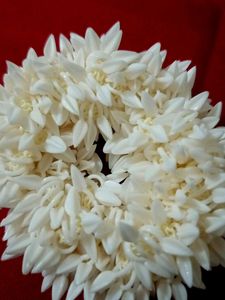 White Flower Garland🤍💜