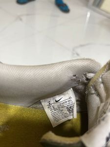 Nike Dunk Low Sneakers