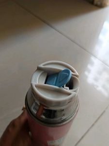 Pink Stainless Steel Water Bottle
