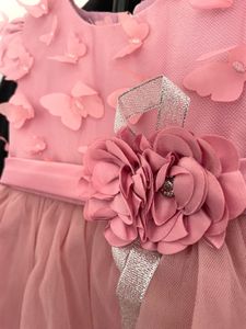 Pink Butterfly Princess Tulle Dress - Party Wear